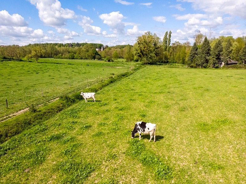 Fête de l'agriculture paysanne de Touraine