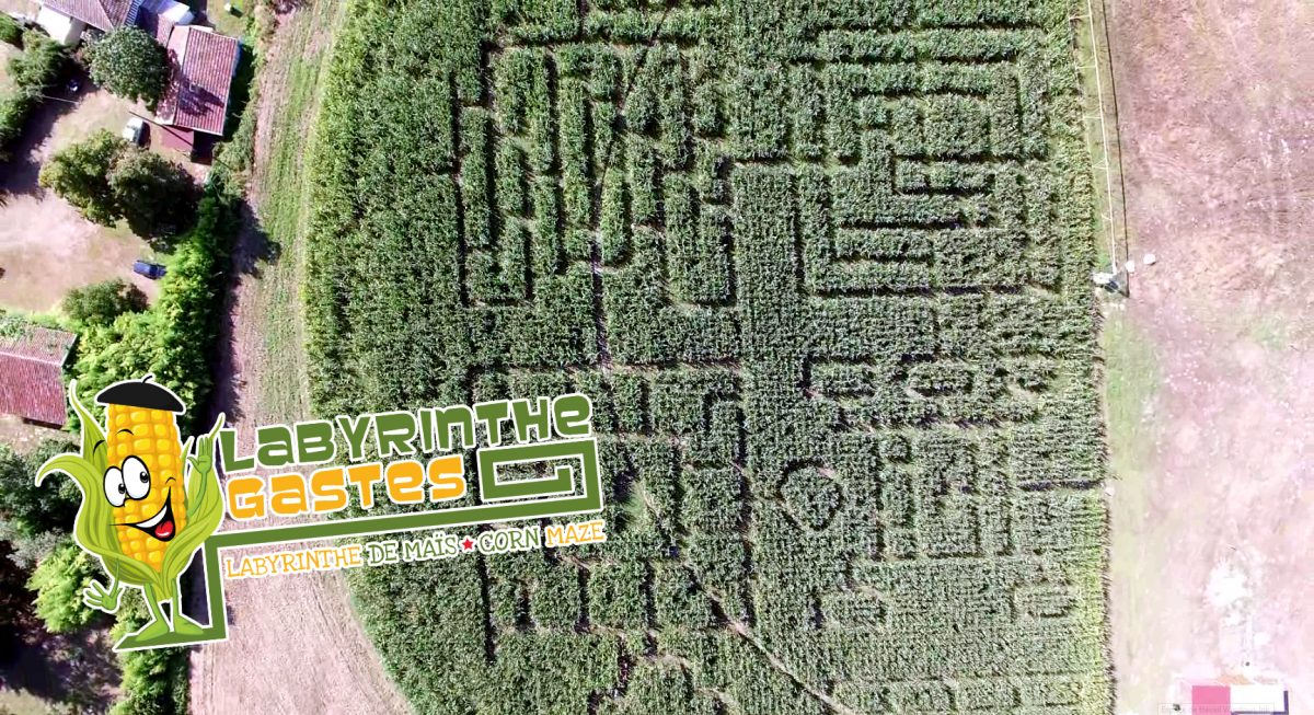 Labyrinthe de Maïs