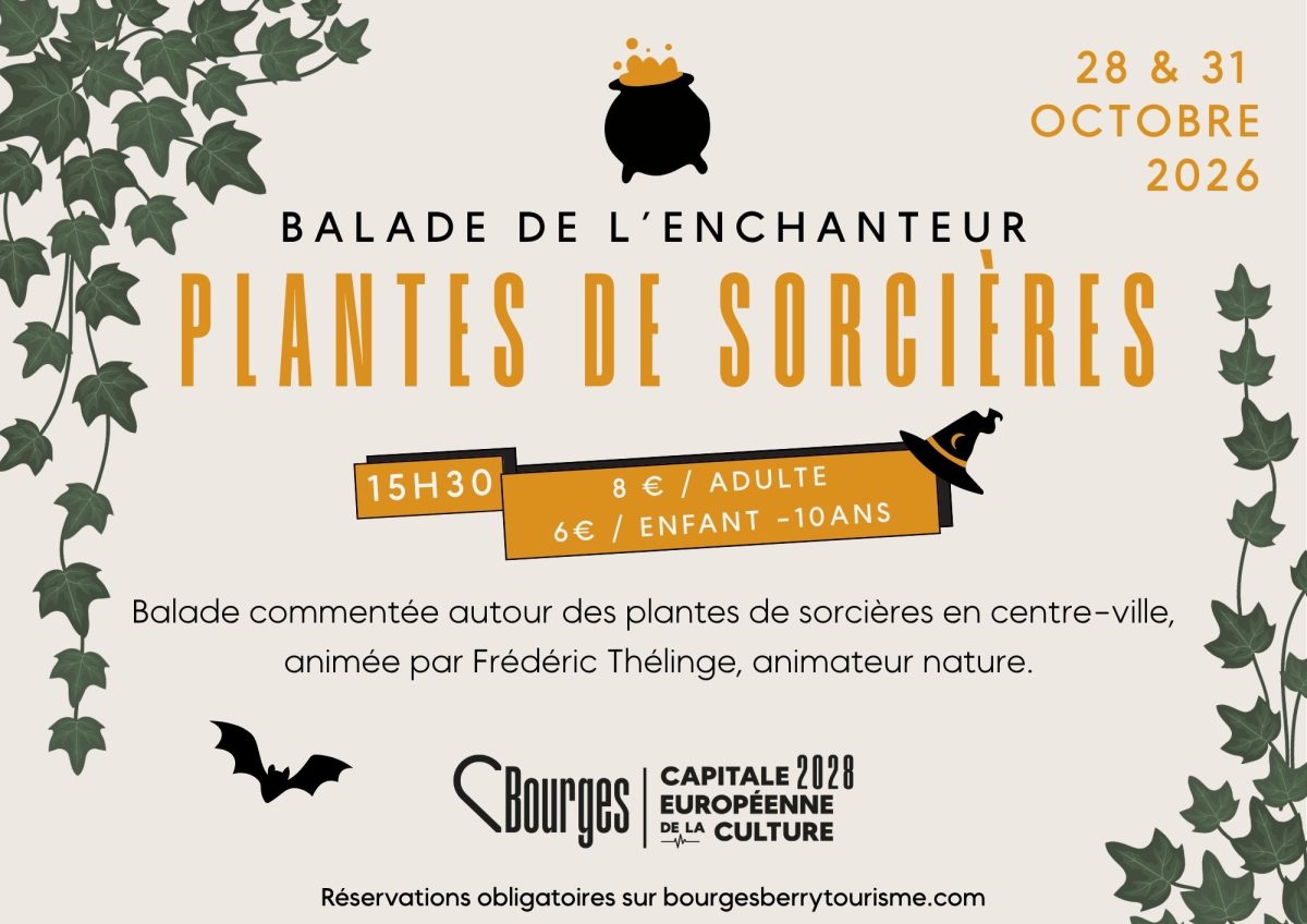 Balade de l'enchanteur : Plantes de sorcières