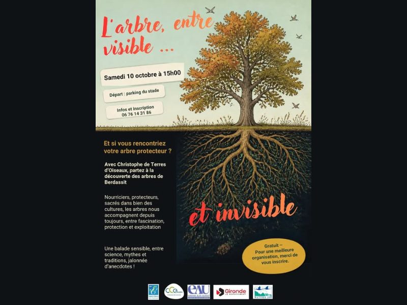 Visite de Berdassit : l'arbre entre visible et invisible