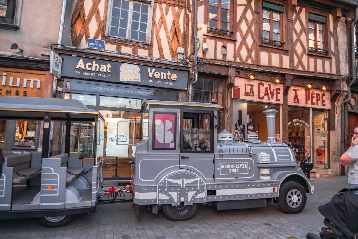 Visite guidée de la ville en Petit train touristique