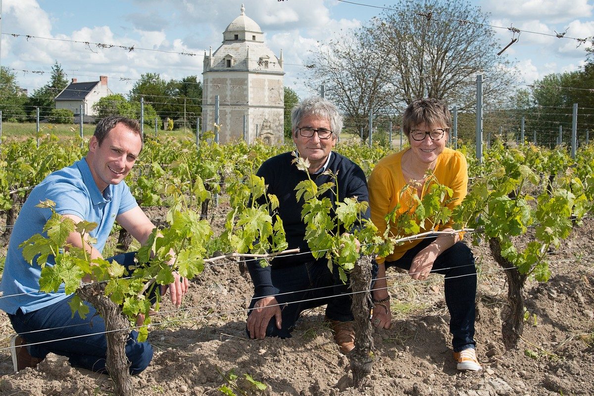 Domaine Charles Pain