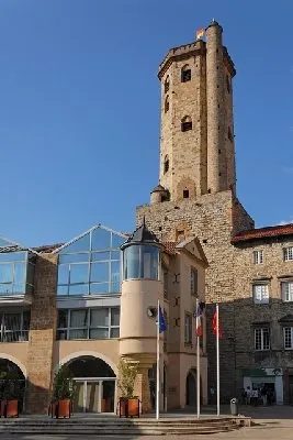 Visite Guidée de Millau (groupes)