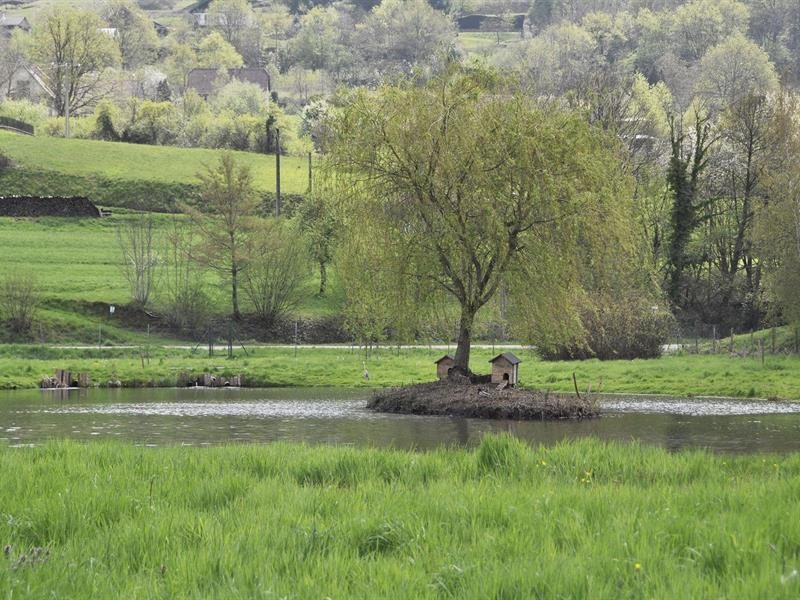 Pêche et détente