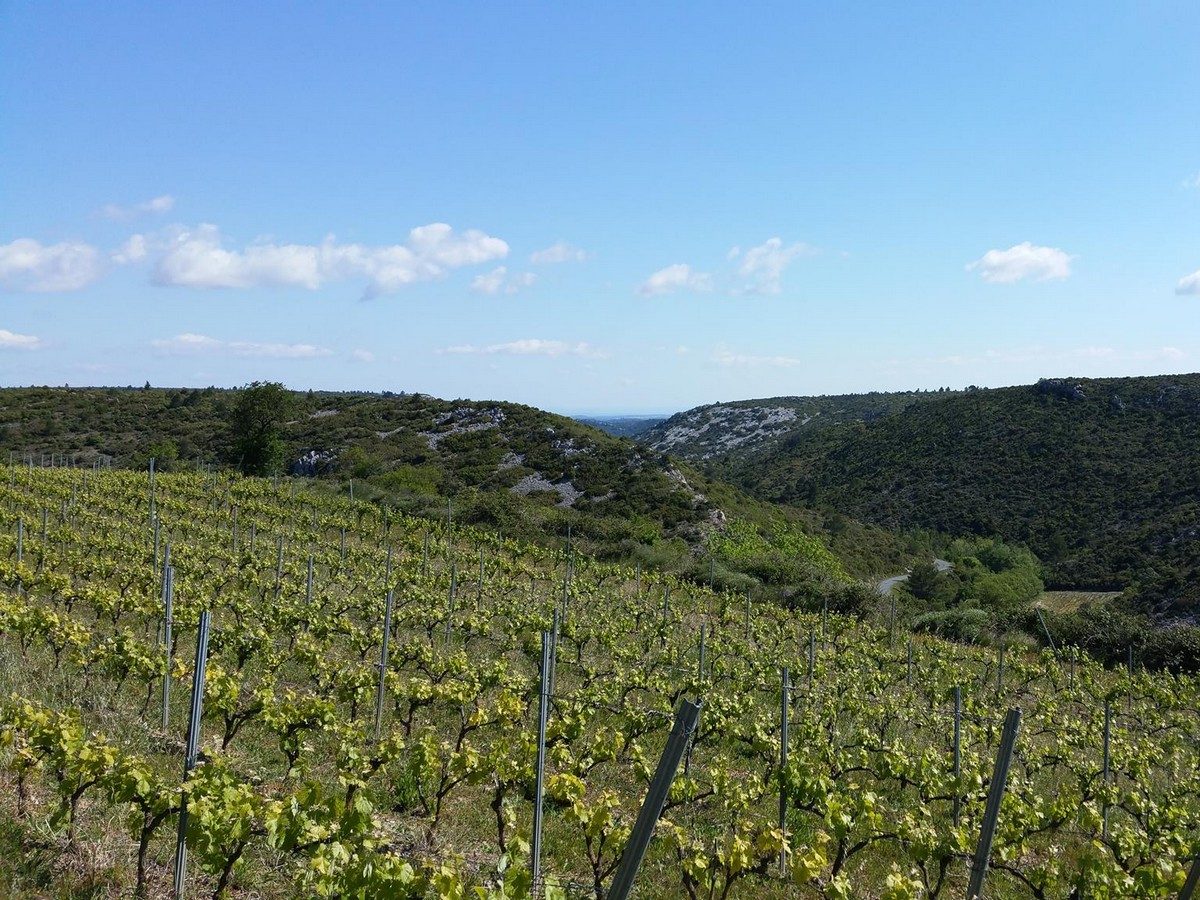 DE FERME EN FERME - NARBONNAIS, CORBIERES-MINERVOIS