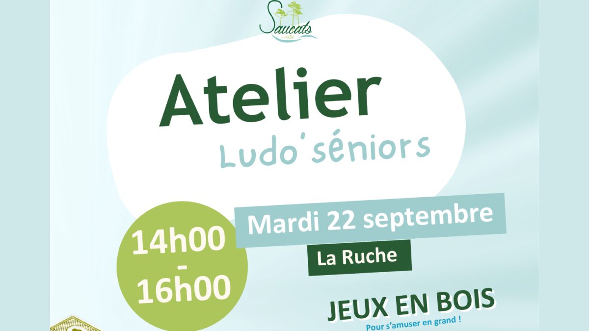 Atelier Ludo séniors