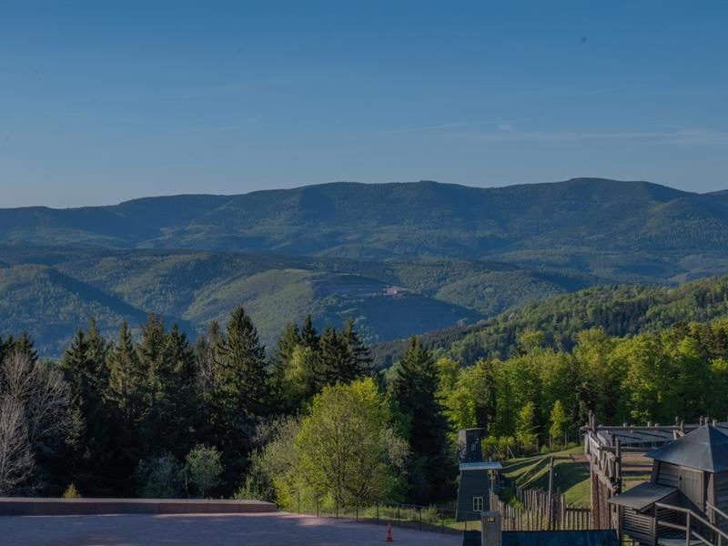 Avant l'horreur, un autre Struthof