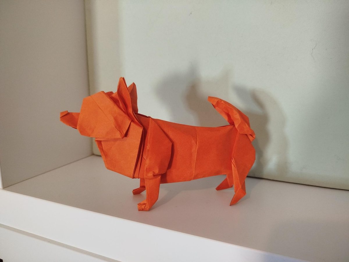 Atelier Origami avec Cédric Cavalié