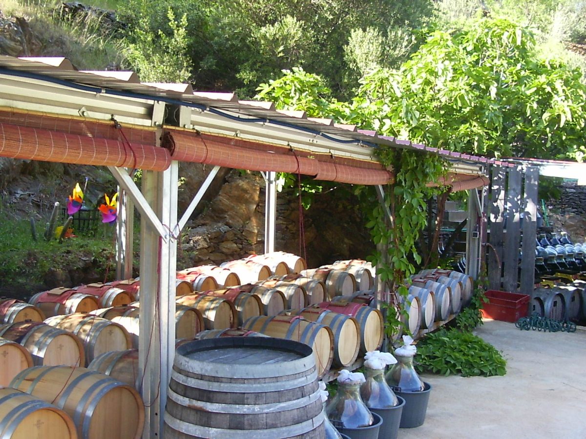 VISITE-DEGUSTATION A LA VINAIGRERIE LA GUINELLE