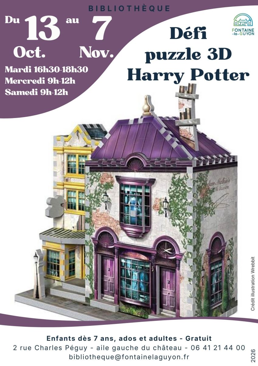 Défi puzzle 3D Harry Potter