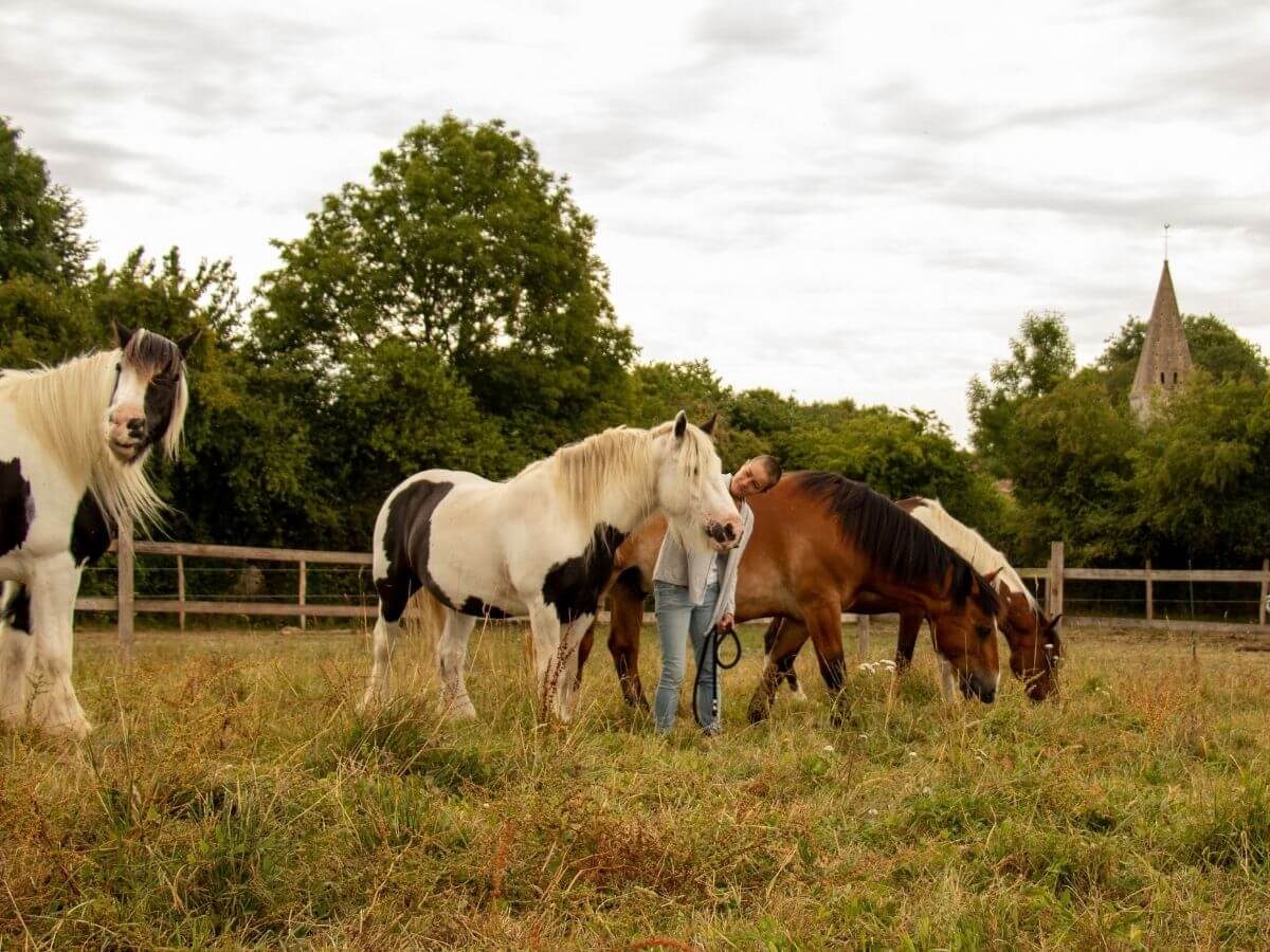 Equidays : Portes-ouvertes du C.A.Z et des écuries Arion Equithérapie