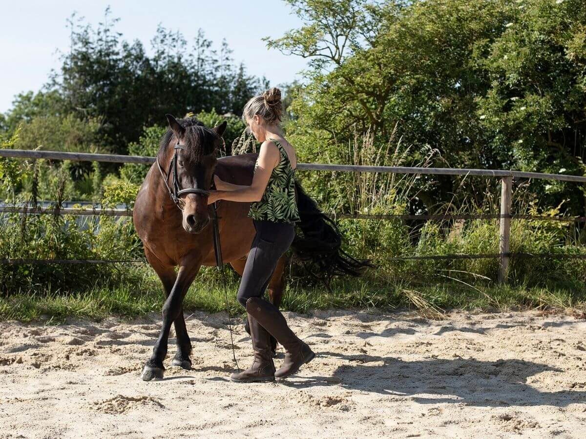 Equidays : A la découverte du cheval à travers le travail à pied
