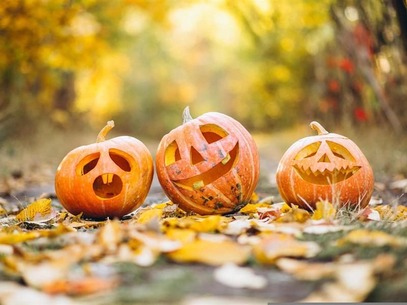 Halloween à Avenheim
