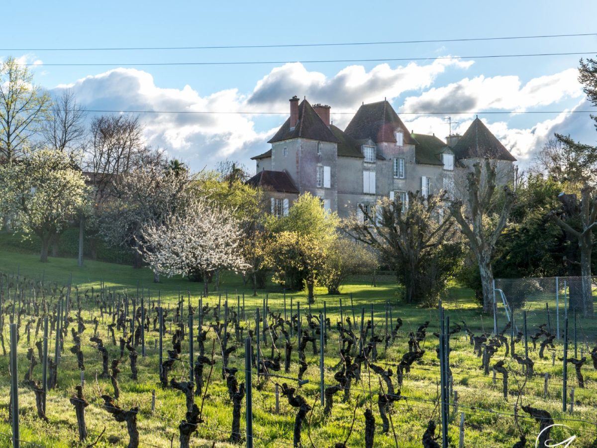 Le Brunch des Vendanges au château de Chelivette