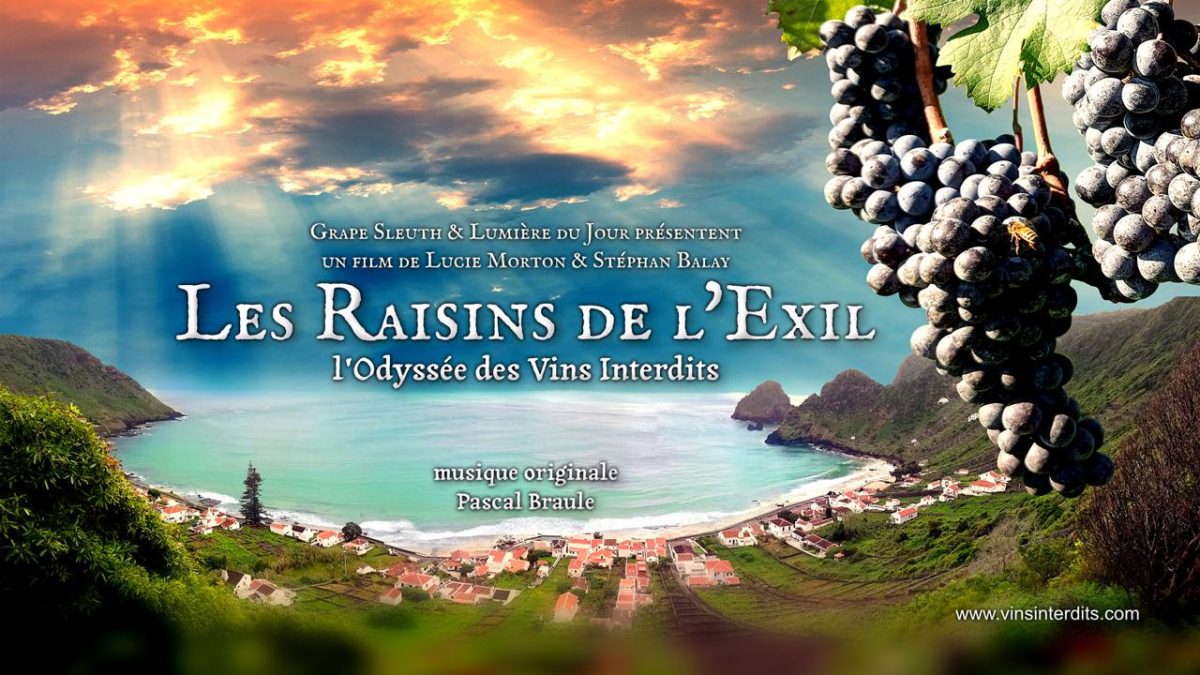 AVANT-PREMIERE "LES RAISINS DE L'EXIL" ET DEGUSTATION DE VINS