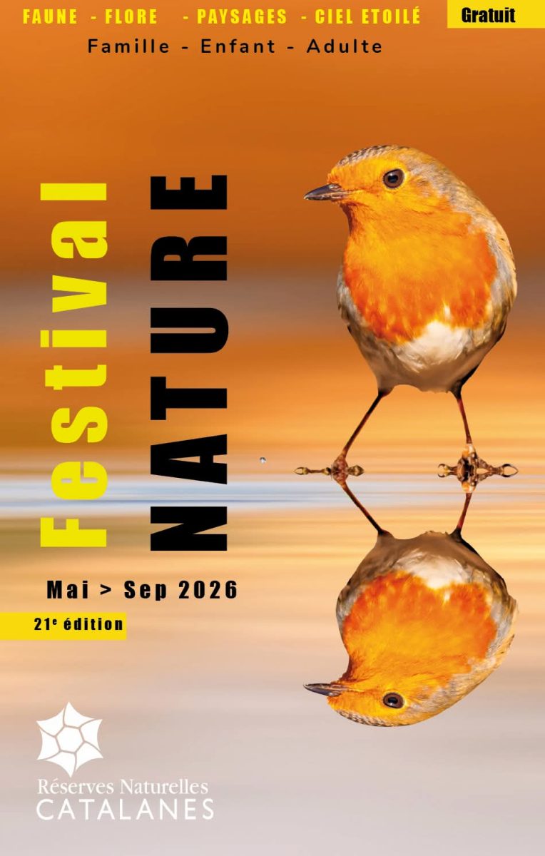 APÉRITIF SCIENTIFIQUE : LES SYRPHES, INDICATEURS DE BIODIVERSITÉ ET DE QUALITÉ DES MILIEUX