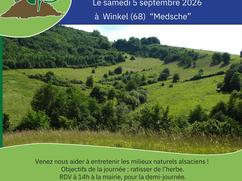 Chantier nature participatif