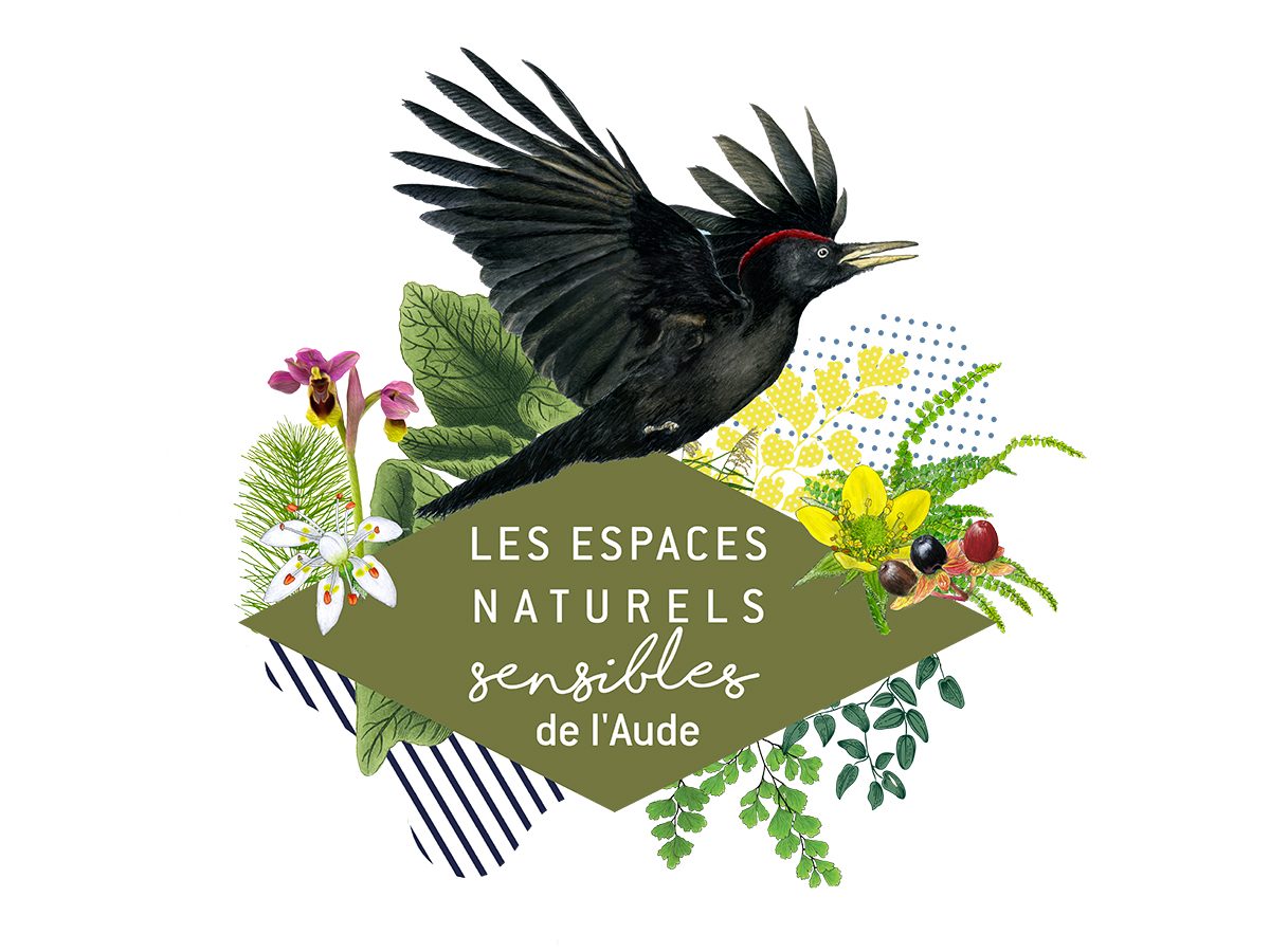 ENS - À L'ÉCOUTE DES ANIMAUX DE LA NUIT