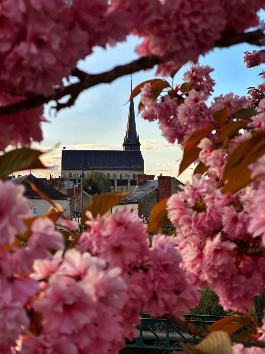 Journées Européennes du Patrimoine : visites libres et commentées de l'église et son clocher