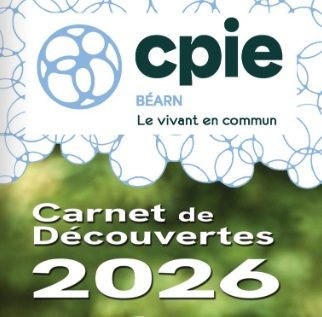 Sur la piste de la chouette de Tengmalm - Sortie CPIE