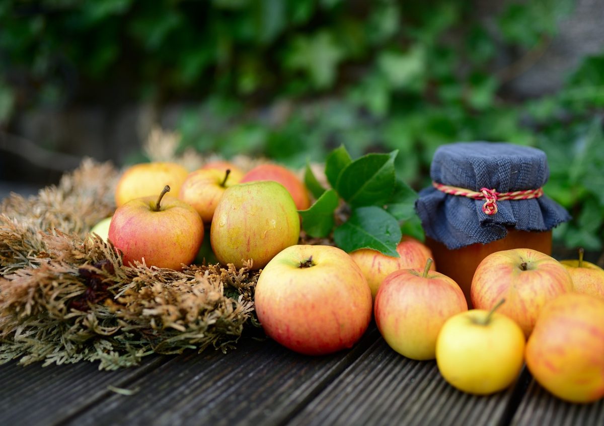 Fête de l'automne