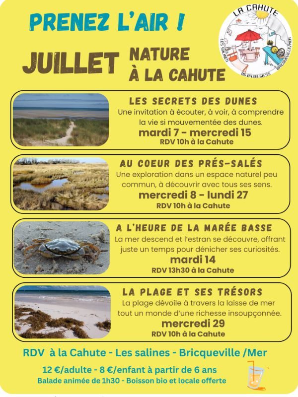 Au coeur des prés-salés
