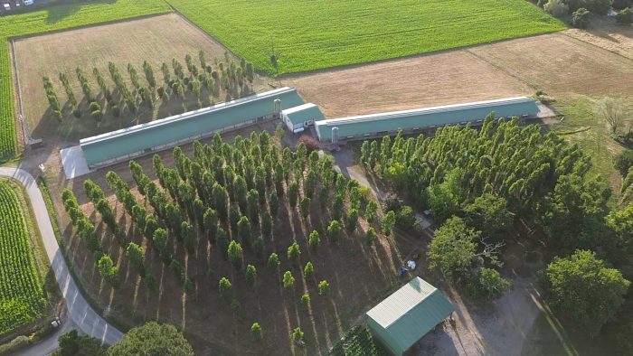 Portes ouvertes à la découverte des producteurs de Foie Gras à Sainte-Colombe