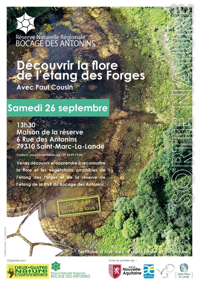 Sortie nature : Découverte de la flore de l'étang des forges