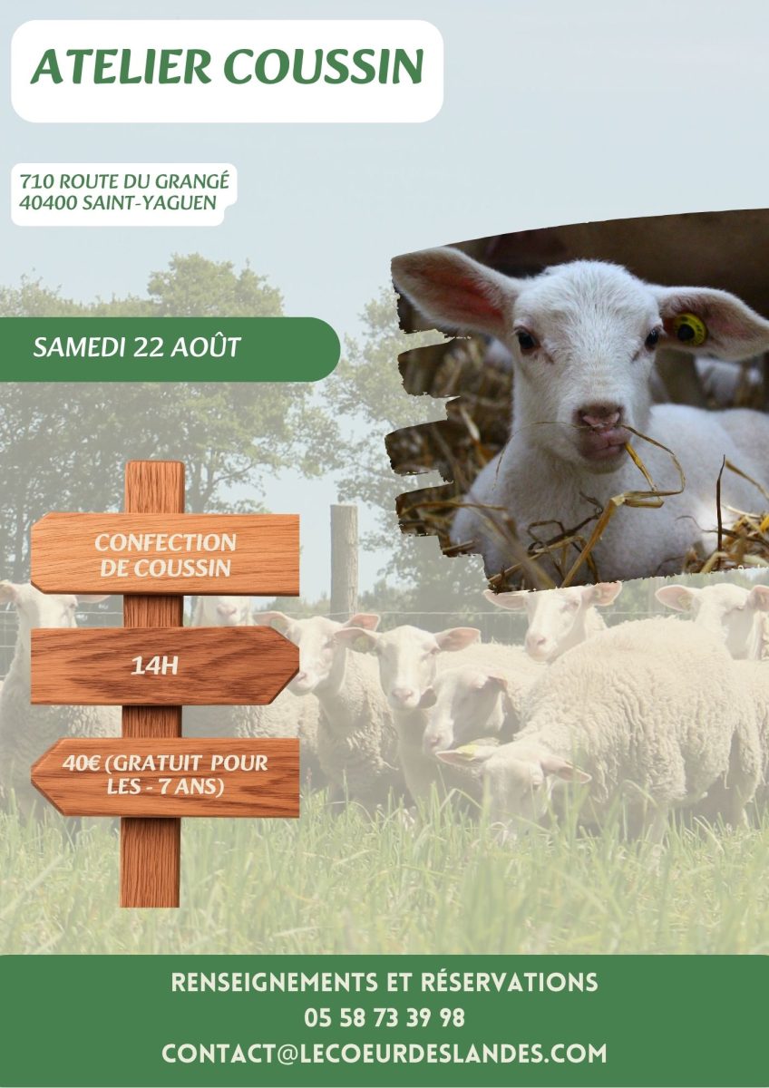 Découverte de la bergerie de Sarah : Atelier coussin