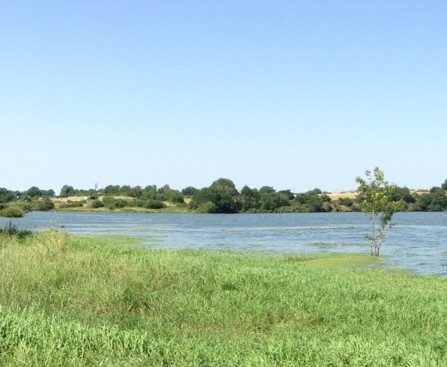 Stage de pêche des carnassiers aux leurres
