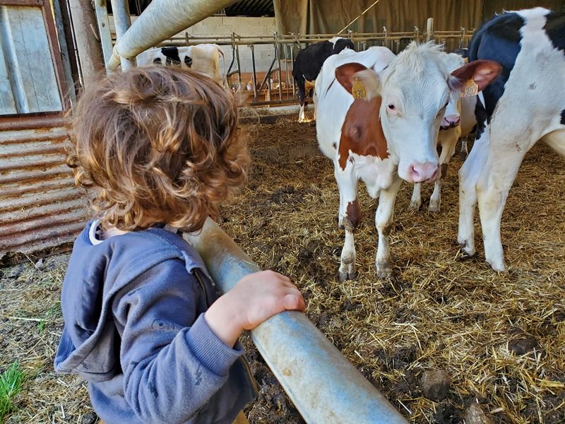 Halloween à la Ferme du Maupas