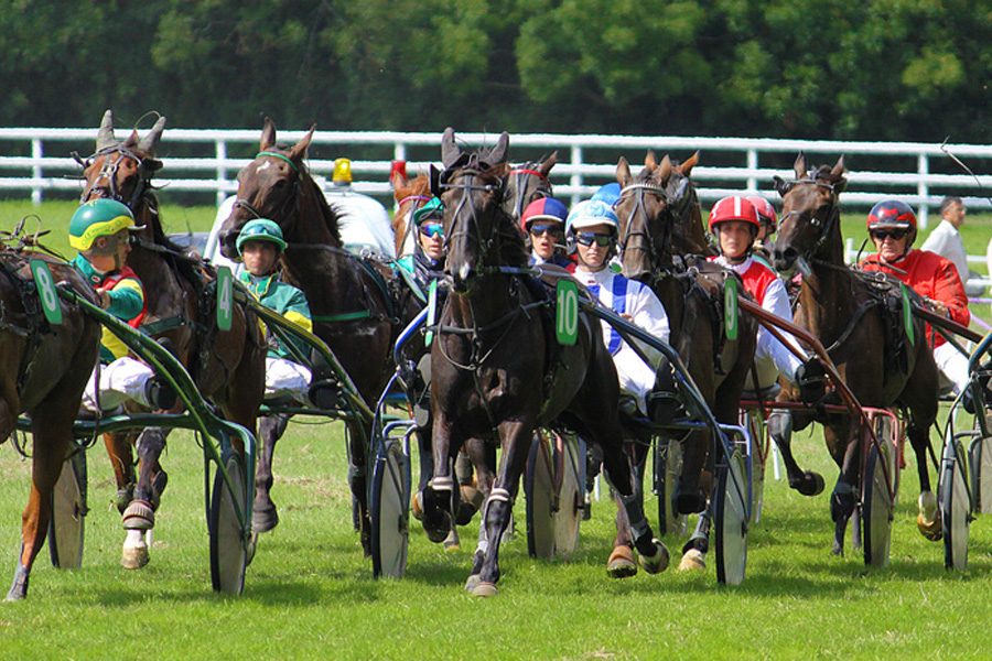 Courses hippiques