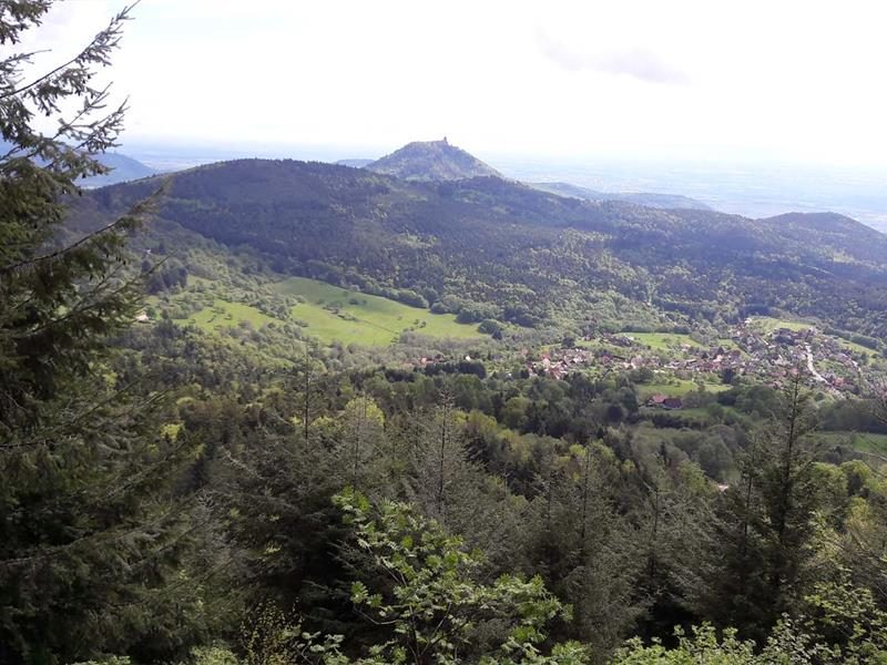 Club Vosgien : Les rochers du Taennchel