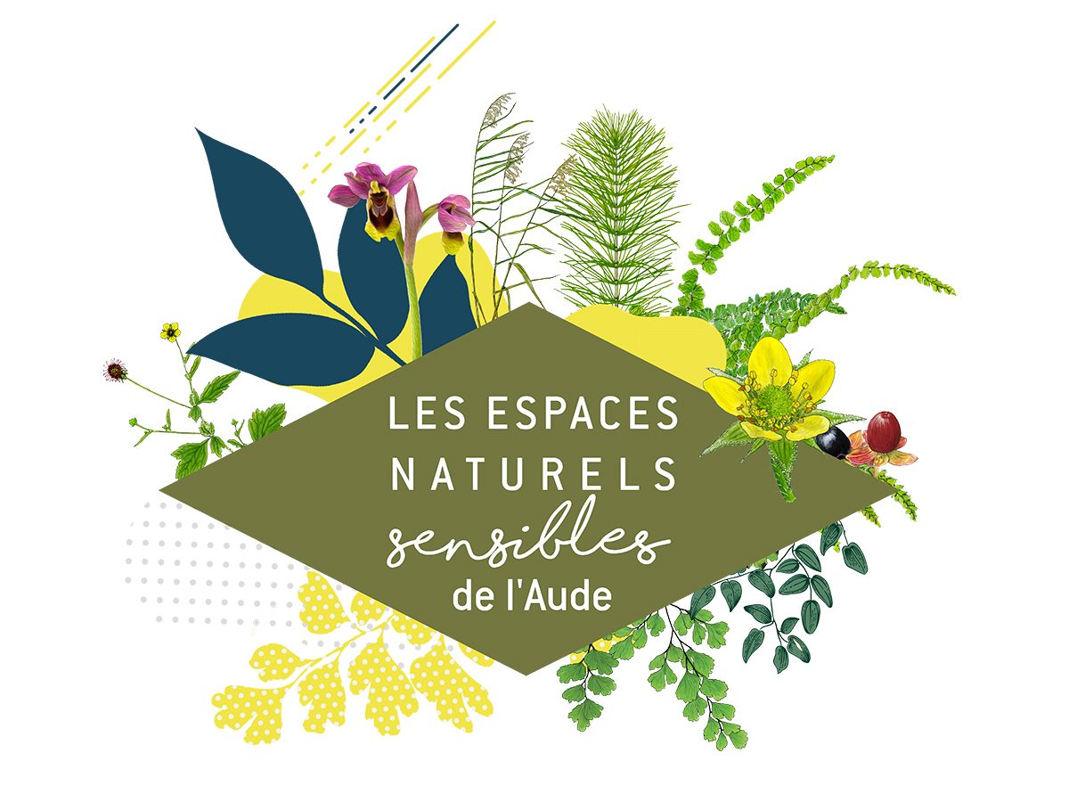 ENS - REGARDS SUR LE RIALSESSE
