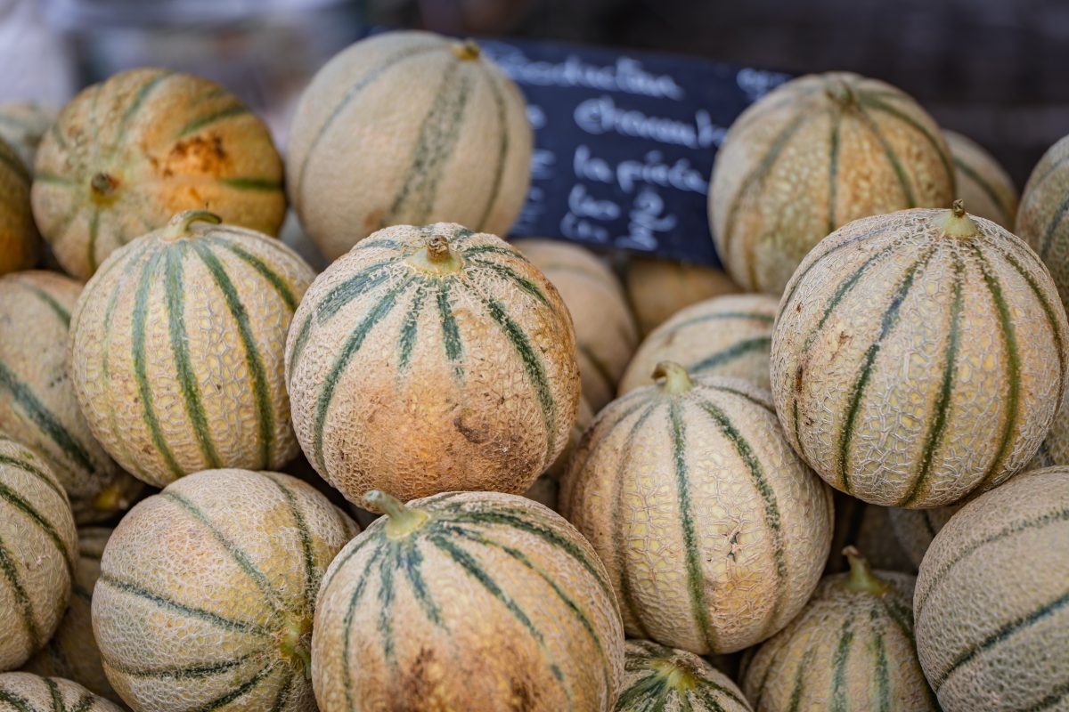 Marché de Champagné-Saint-Hilaire