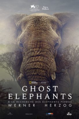 Cinéma Arudy : Ghost elephants VOSTFR