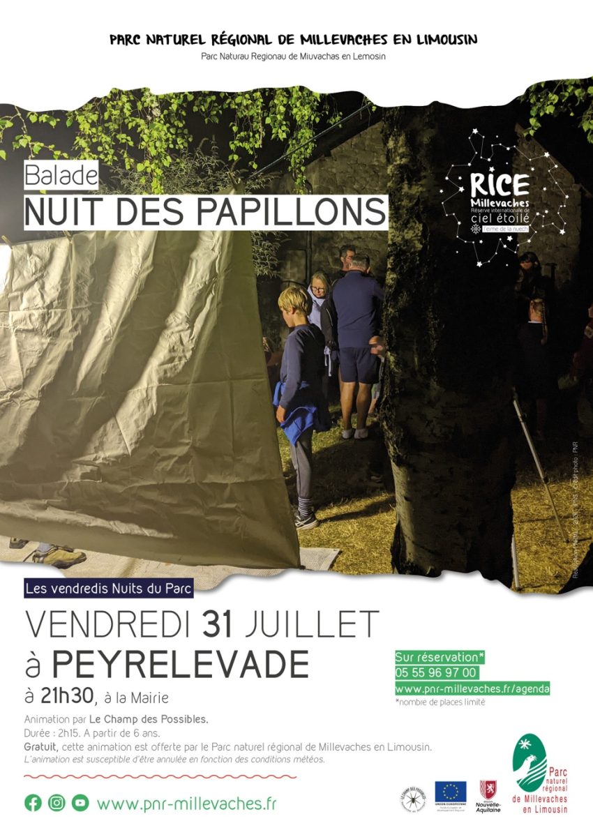Nuit des papillons