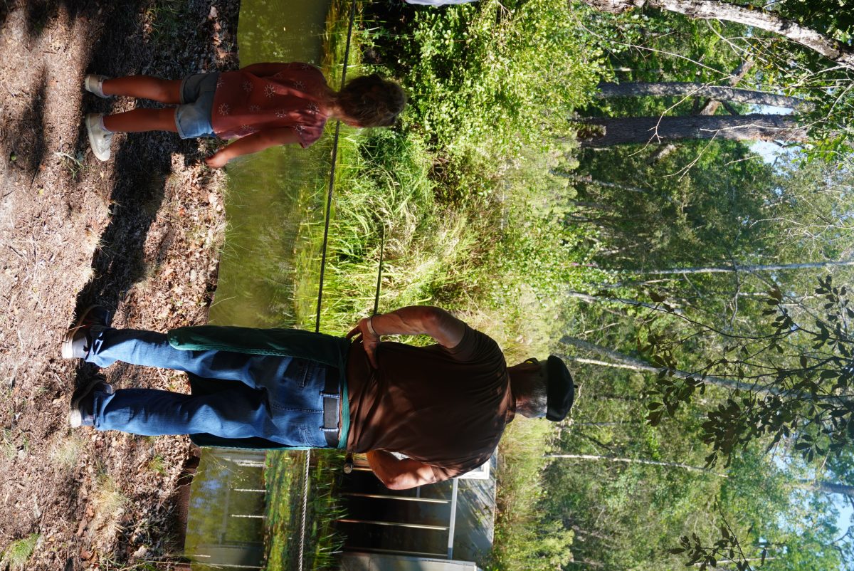 Faune et traditions à Marquèze