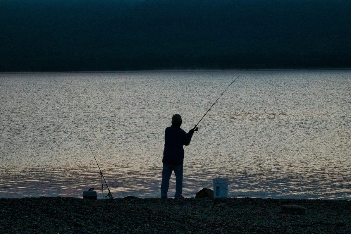 Week-end pêche à la carpe de nuit