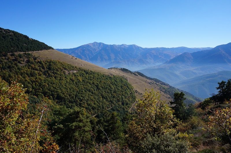 RANDO ACCOMPAGNEE : SENTIER DE DECOUVERTE DE LA RESERVE NATURELLE DE JUJOLS ROC DE LA COSTA