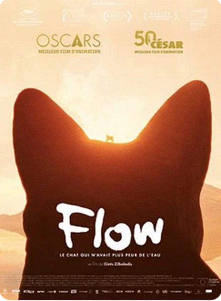CinéToile sous les étoiles : Flow, le chat qui n'avait plus peur de l'eau