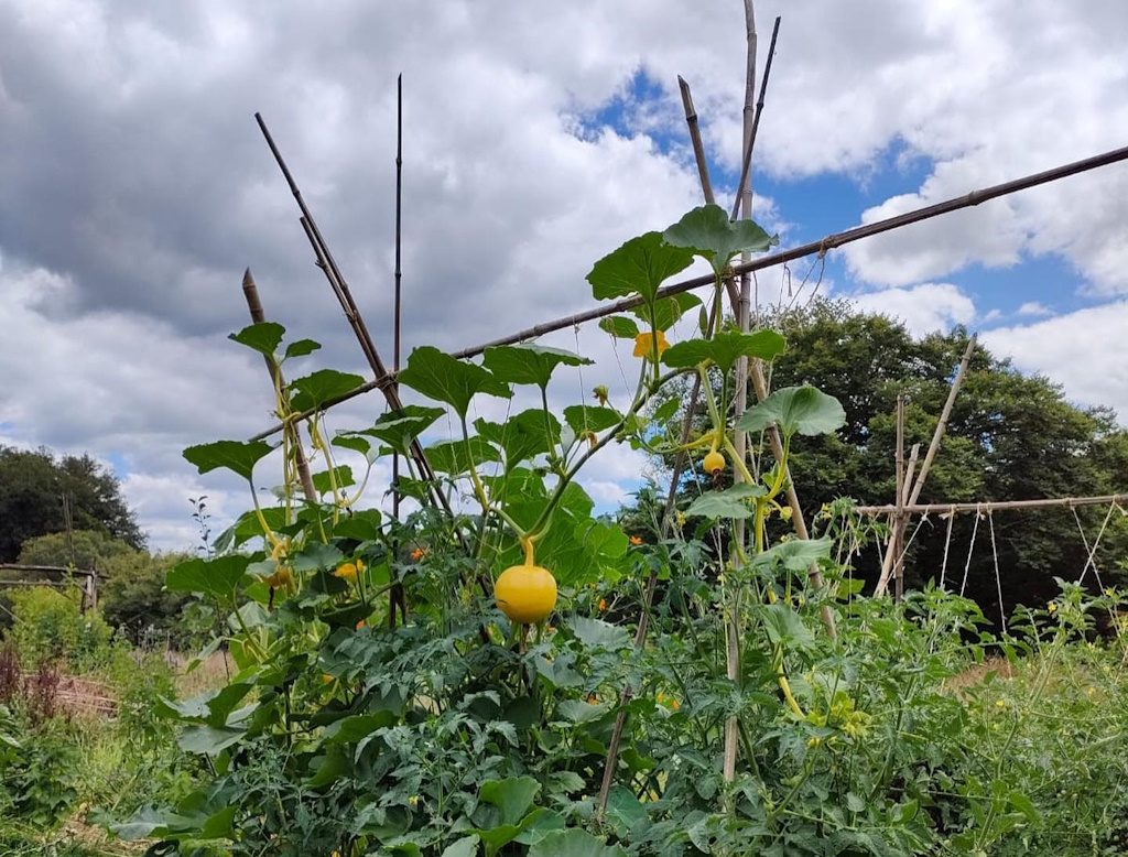 Initiez-vous à la permaculture à St-Laurent-les-Eglises - Août