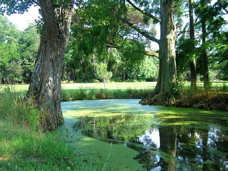 AIRE DU PARC DE LAUNAC