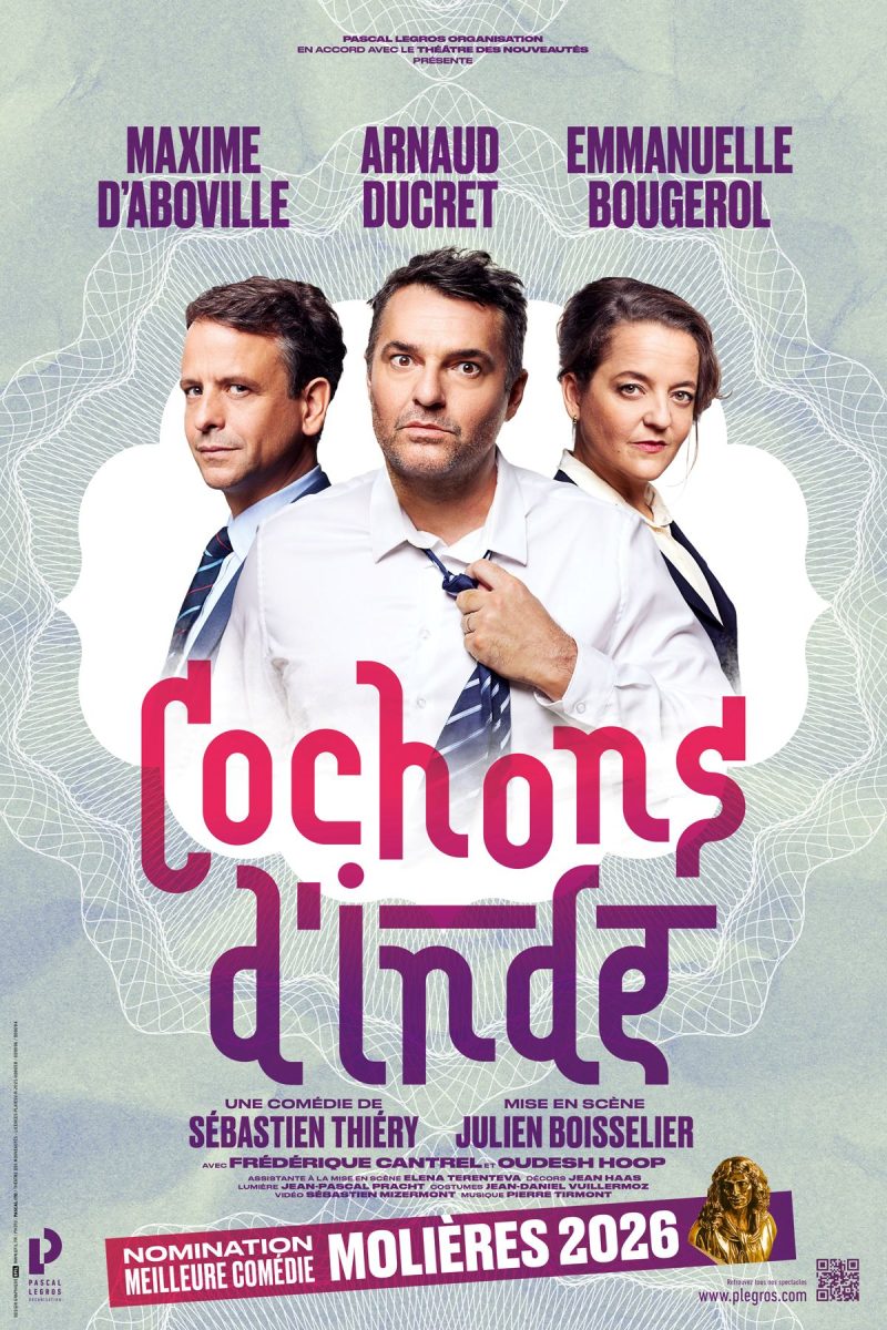 Cochons d'inde