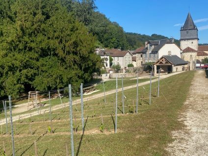Domaine de la Salvanie : Parc