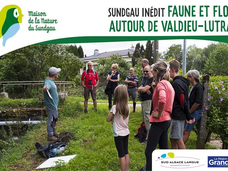 Sur les traces du hérisson à Valdieu-Lutran