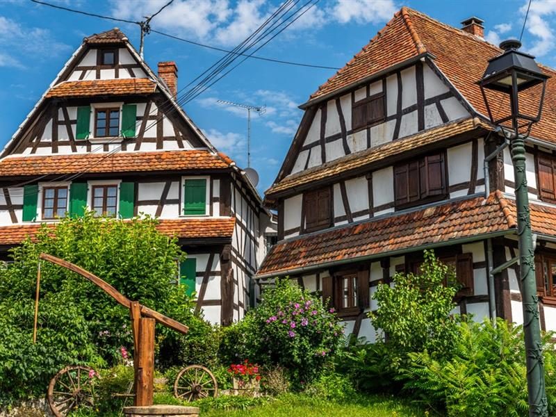 Exposition : À la découverte de l'Alsace Verte