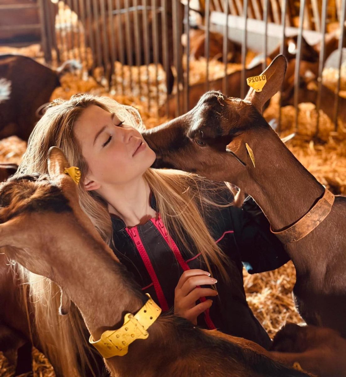 La Ferme des Garrigues