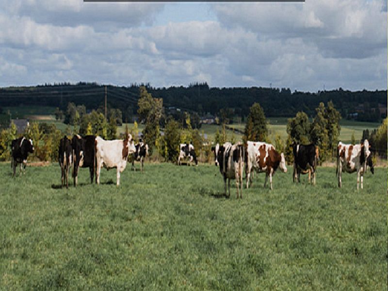 Ferme de la Séoune