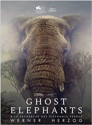 Cinéma : Ghost Elephants